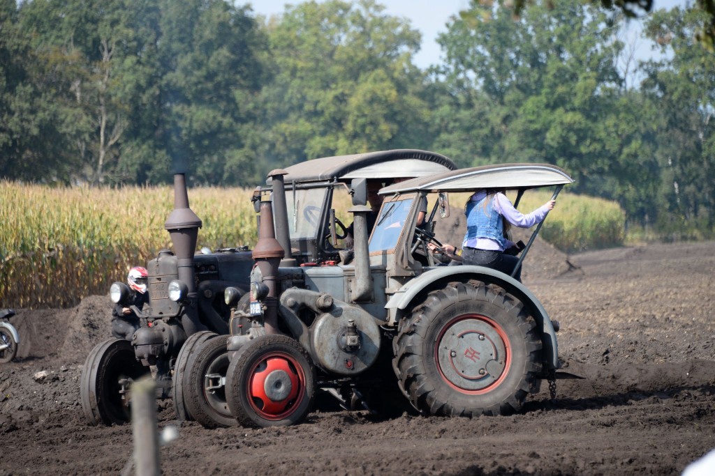 ../Images/Wilbertoord pakt uut 2022 766.jpg